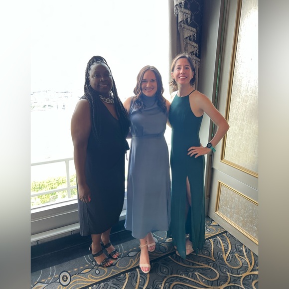 Amazon Dress - Picture 3 of 3